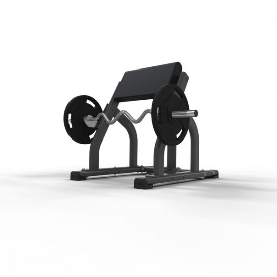 Seated Preacher Curl - 2018 Seated Preacher Curl - 2018