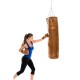 ARTZT Vintage Series leather punching bag