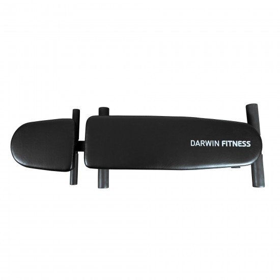 Darwin Weight Bench FB50 Darwin Weight Bench FB50