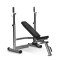 Horizon Adonis Plus weight bench with rack