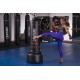 Century standing punching bag Torrent 1