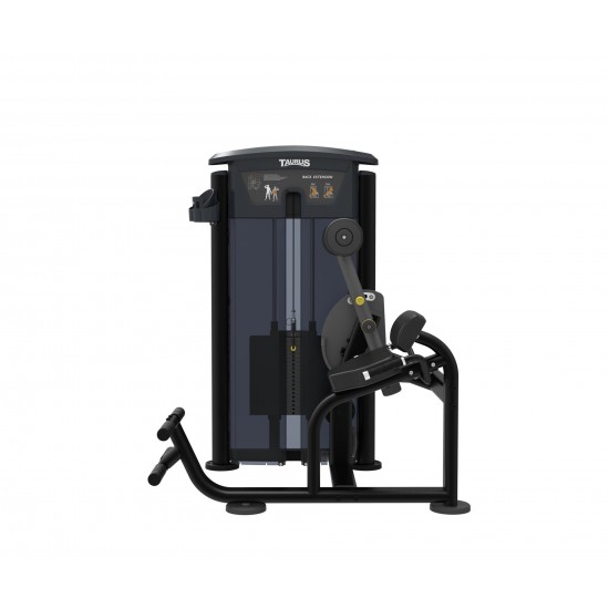 Taurus Back Extension IT95 Taurus Back Extension IT95