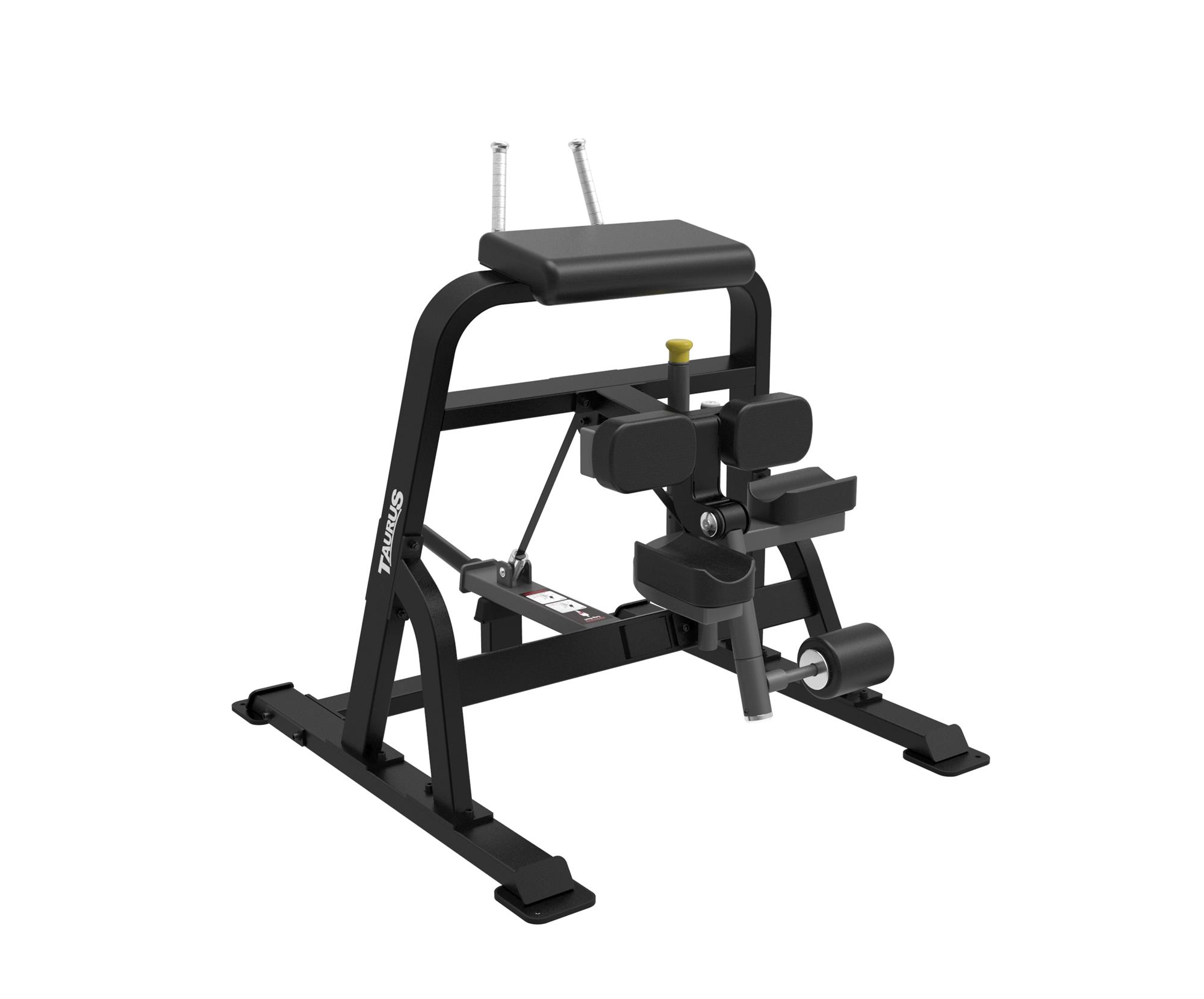 Taurus 45 Degree Leg Press Sterling